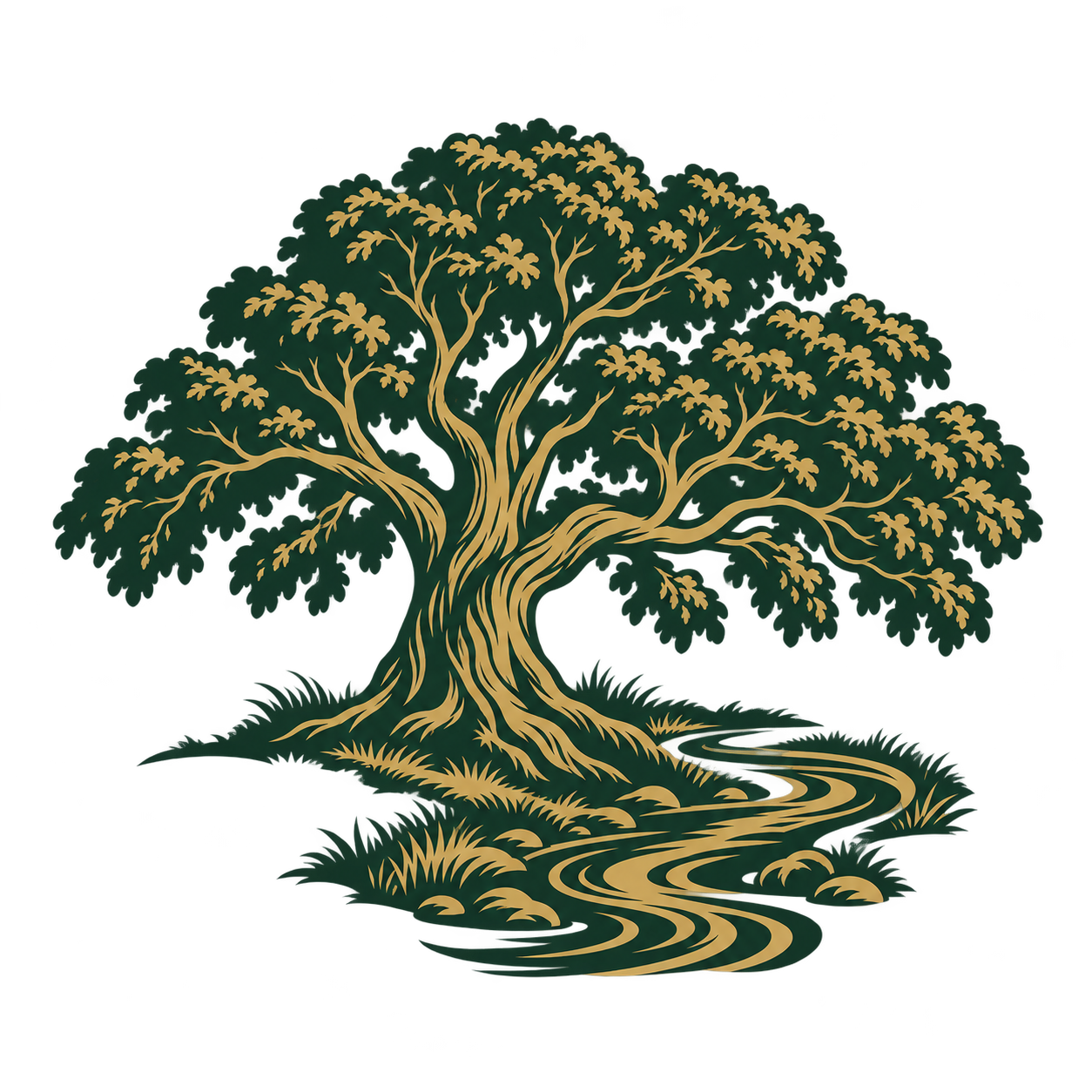 Walnut tree beside a winding creek